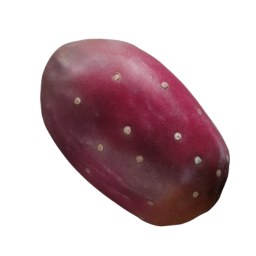 Prickly Pear
